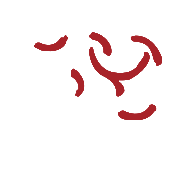 ��Ȧ(�й���)�������ǲ�!